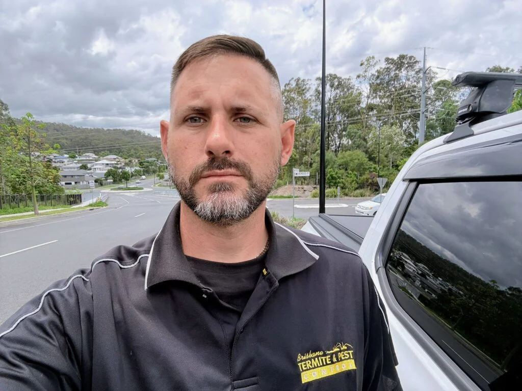 spider-pest-control-brisbane