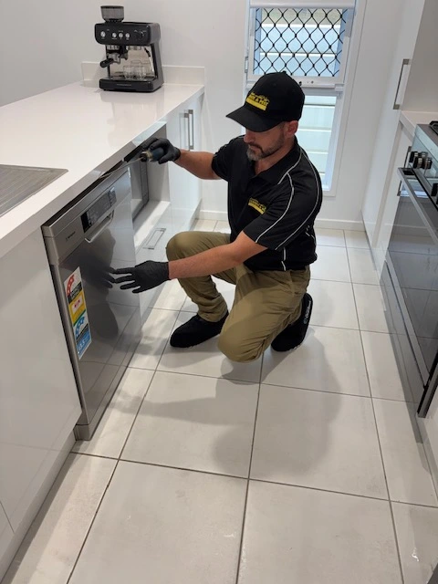 german-cockroach-pest-control-brisbane